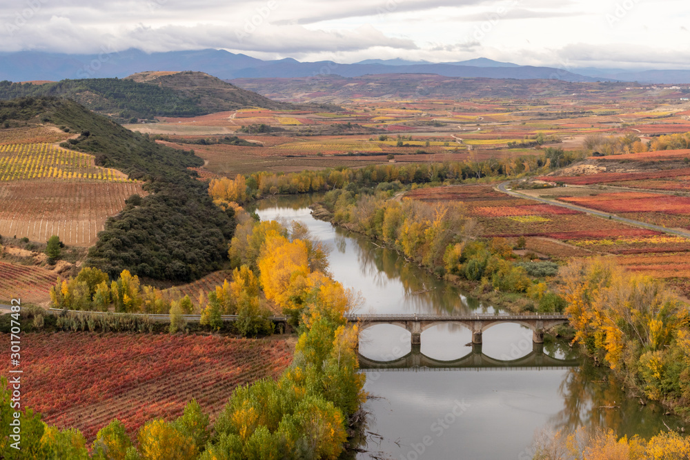 Obraz premium Tren sobre el Ebro