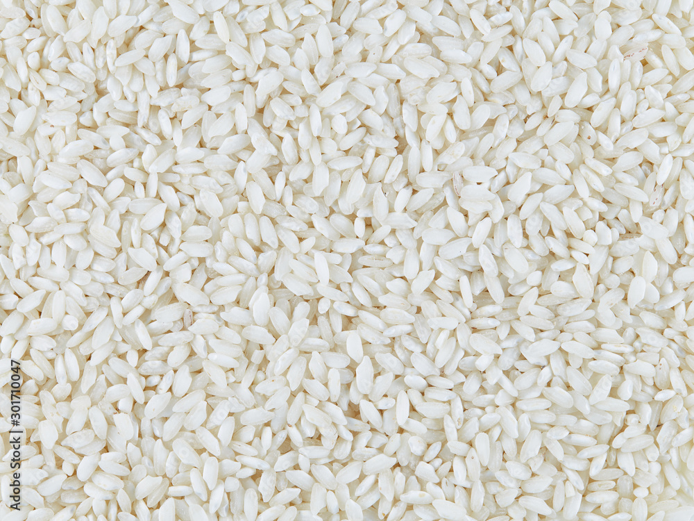 Rice risotto. Top view. Texture and background. Rice risotto. Top view. Texture and background.