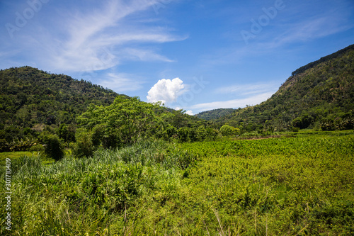 Rural view