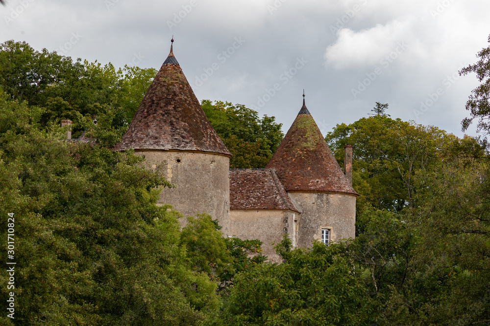 Eruption dans les arbres