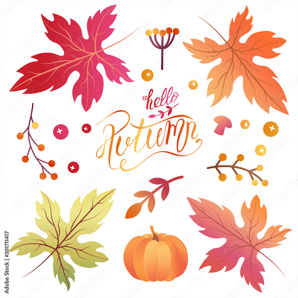 Obraz premium Set of autumn elements
