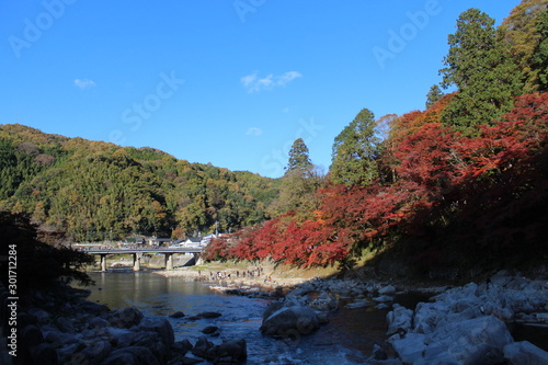 日本の愛知県の香嵐渓の紅葉の風景