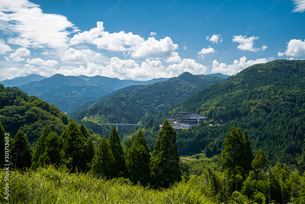 兵庫県　美方郡　夏の棚田の景色と原風景