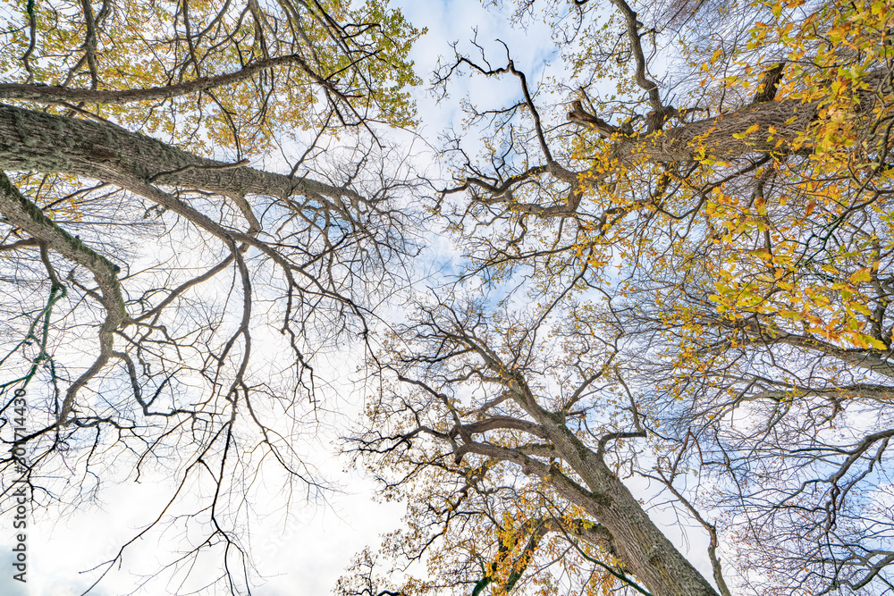 Obraz premium Omberg ekopark and nature reserve