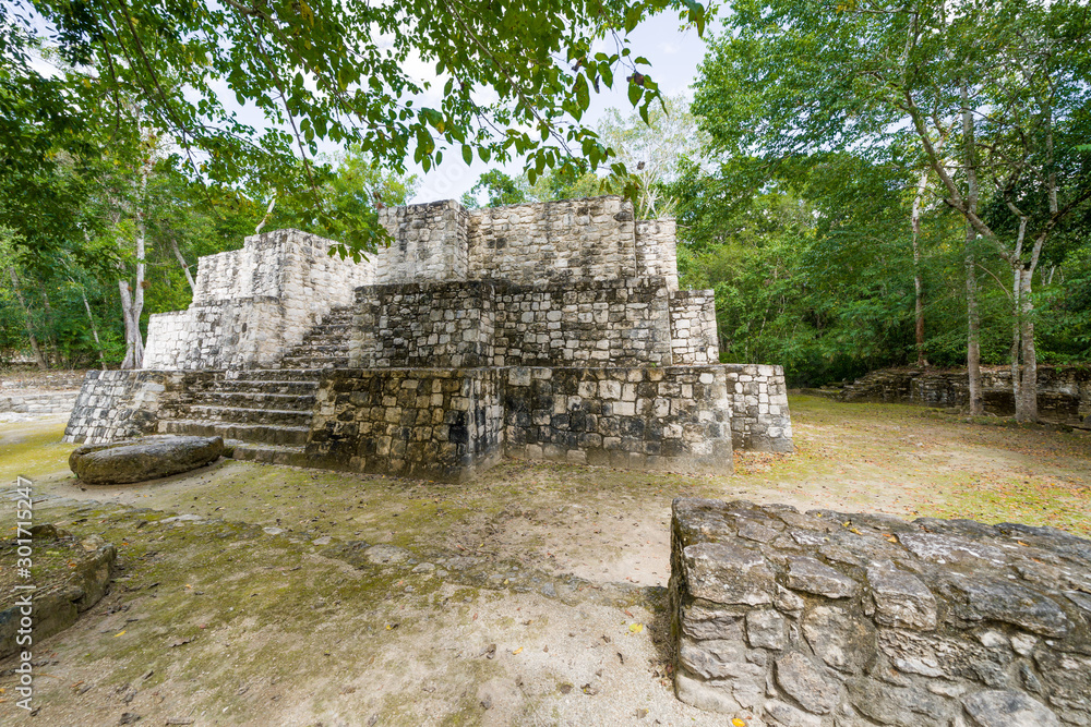 The ruins of the ancient Mayan city of calakmul, campeche, Mexico