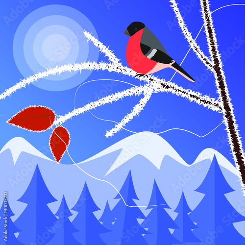 Frosty freshness concept. Vector image of twigs with leaves in frost on the sky background. Concept of the first frost. Vector image of a bullfinch on a tree branch in frost