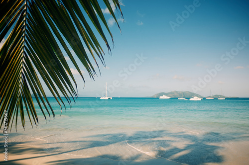 Fototapeta Naklejka Na Ścianę i Meble -  Scenic view of calm tropical beach framed with silhouette of a palm frond