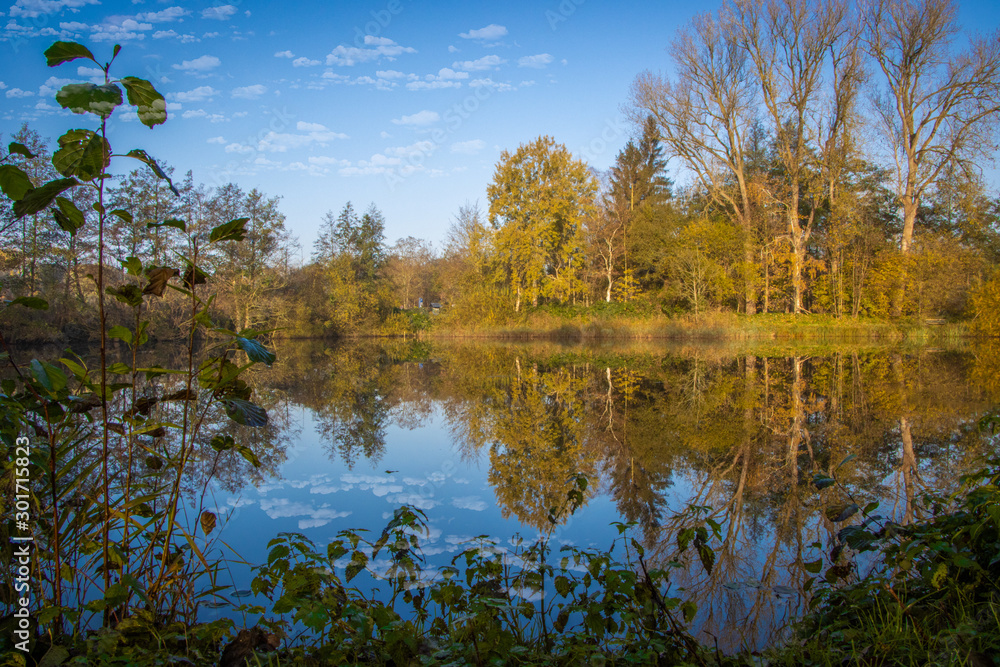 Obraz premium a lake lined with colorful trees in autumn in the bright morning light
