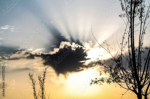Blue sky and sun is hiding behind a black cloud background of the tree