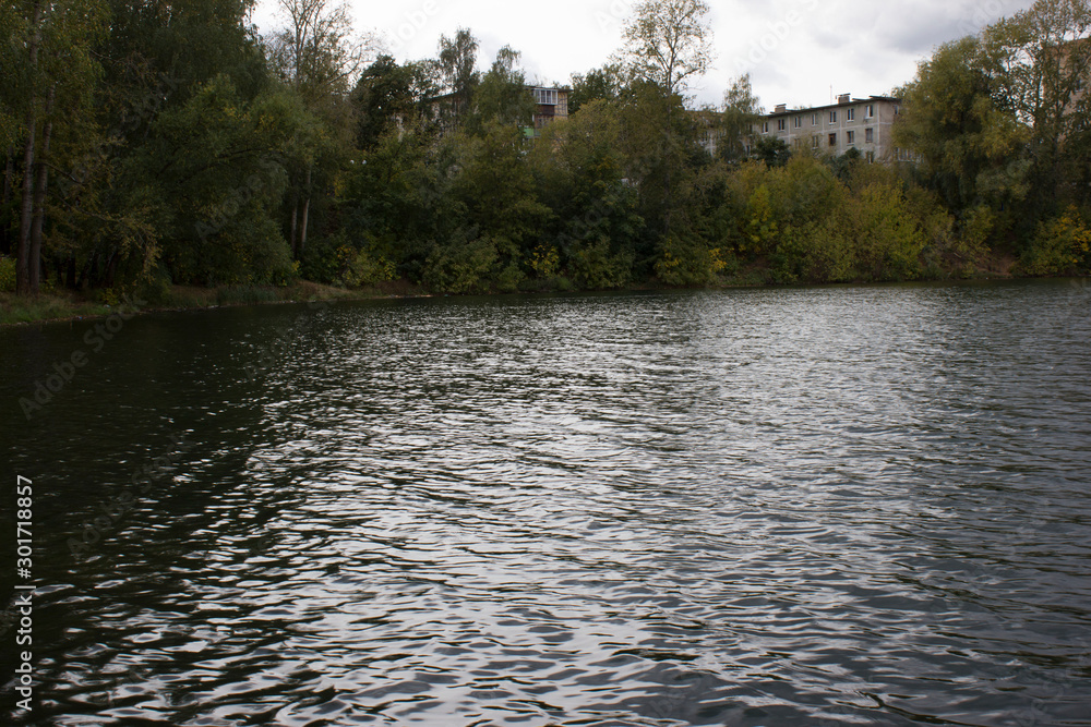 the shore of the pond with trees the shore of the pond with trees