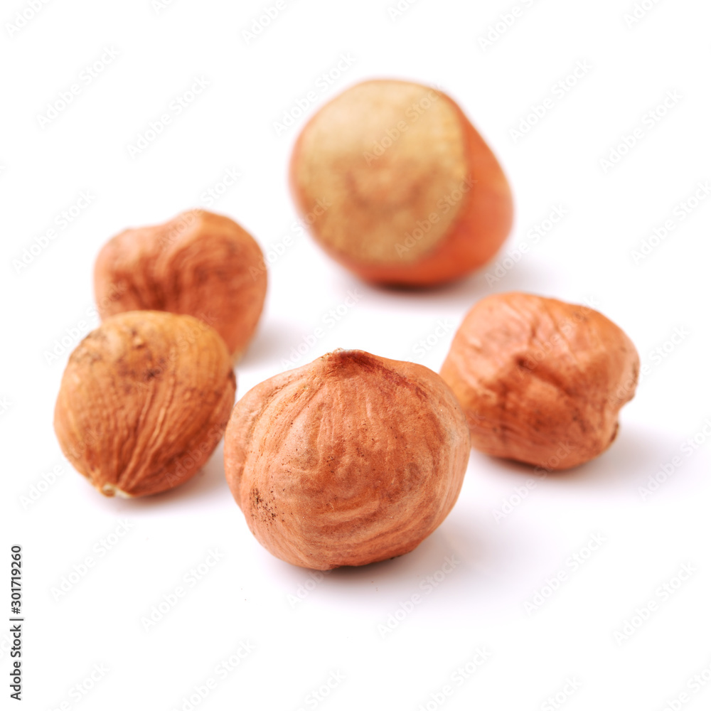 Hazelnut on white background Hazelnut on white background