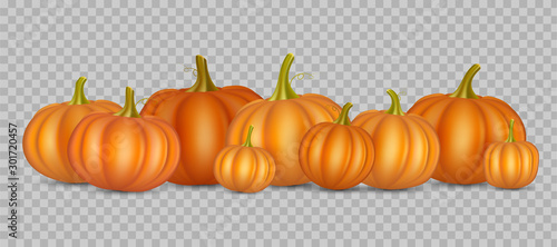 Autumn vector orange pumpkins border design template for banners and thanksgiving day backgrounds. vector Pile of pumpkins frame.