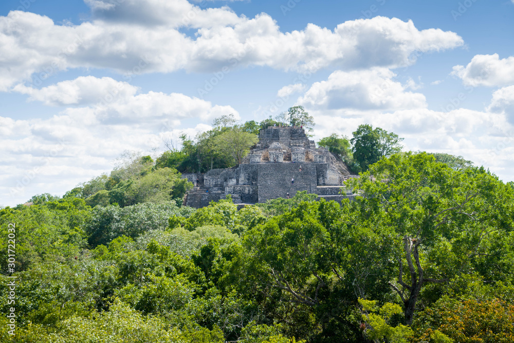 The ruins of the ancient Mayan city of calakmul, campeche, Mexico