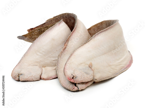 Sole fish on white background