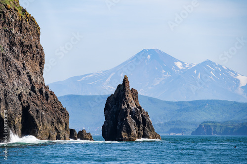 Stone cliffs of the island in the Pacific Ocean. Wildlife of Kamchatka. Far East, Russia