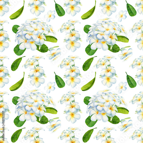 seamless pattern of exotic flowers  green leaves on an isolated white background  watercolor illustrations  tropical plumeria plants