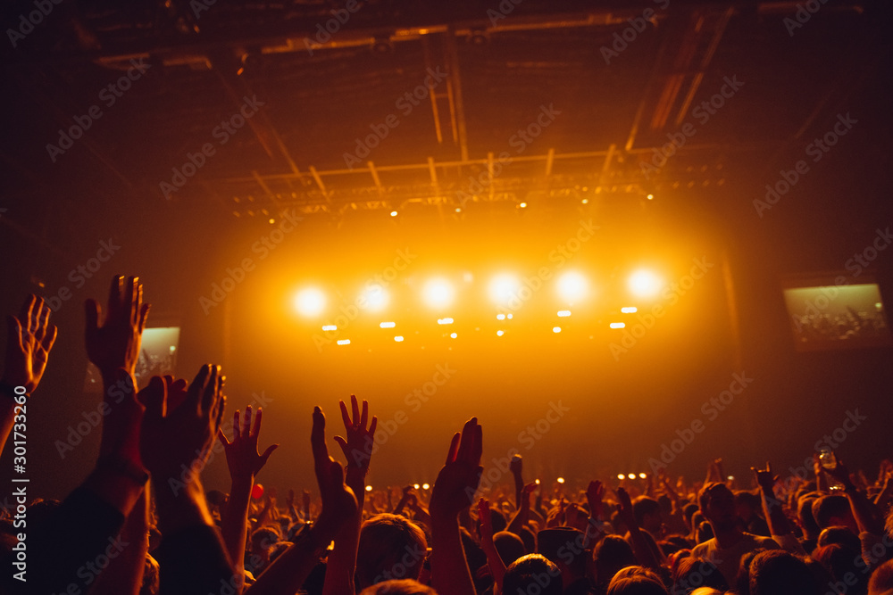 Сrowd of people at concert. Silhouettes of concert crowd with raised hands during rock or pop music concert.