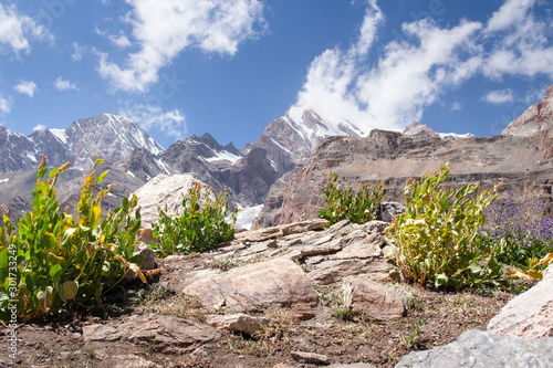 Chimtarga peak in Fann mountains, Tajikistan. Pamir-Alai mountain range on sunny summer day. Hiking in mountains. Nature landscape in highlands photo