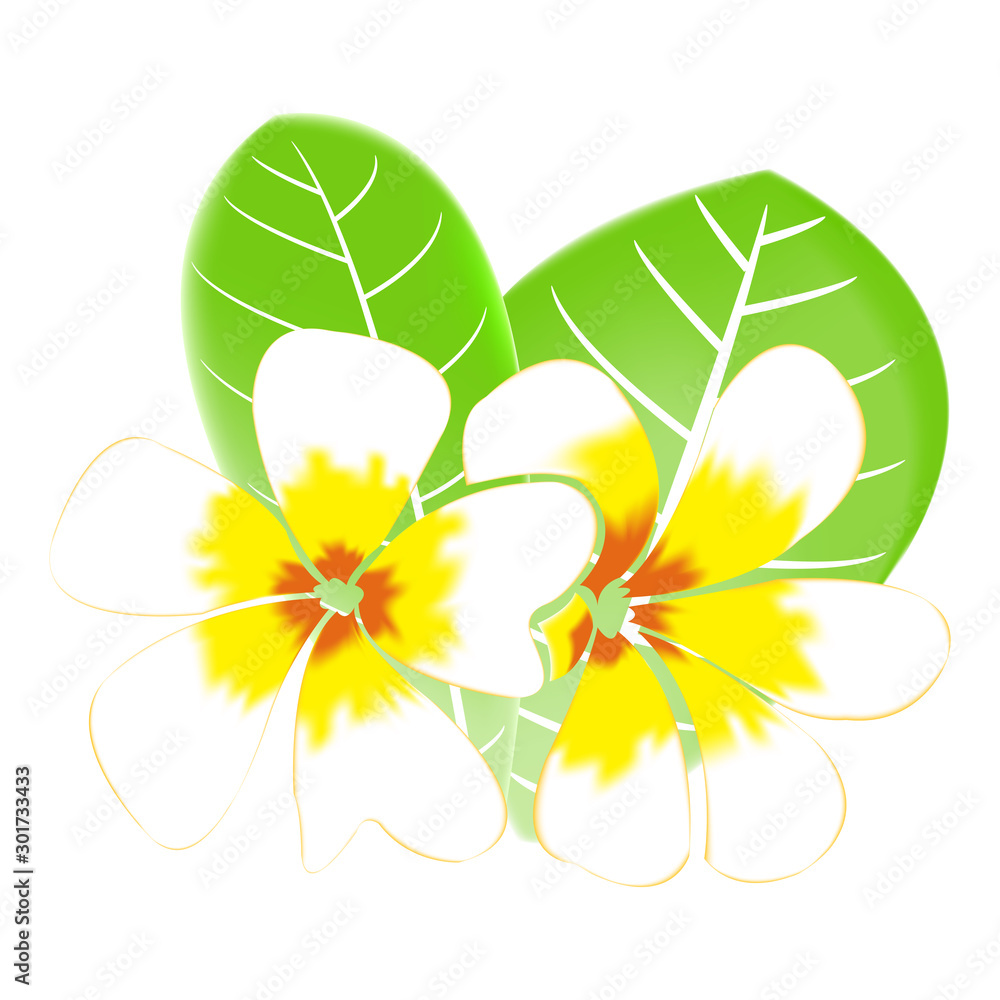 Frangipani and leaves Isolated On White Background Frangipani and leaves Isolated On White Background