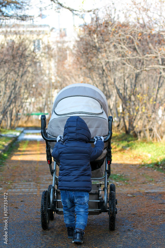 Young kid walking with his sibling in the stroller. Small child on a walk in the autumn park. Cute picture of toddler boy pushing a stroller with his brother or sister. Family love © julianeroznak