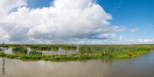 Panorama of marshland on manmade artificial island of Marker Wadden, Markermeer, Netherlands