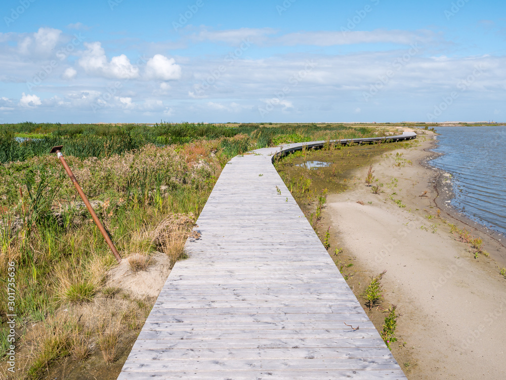 Boardwalk path of nature trail on manmade island of Marker Wadden in Markermeer, Netherlands