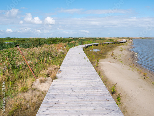 Boardwalk path of nature trail on manmade island of Marker Wadden in Markermeer, Netherlands © TasfotoNL