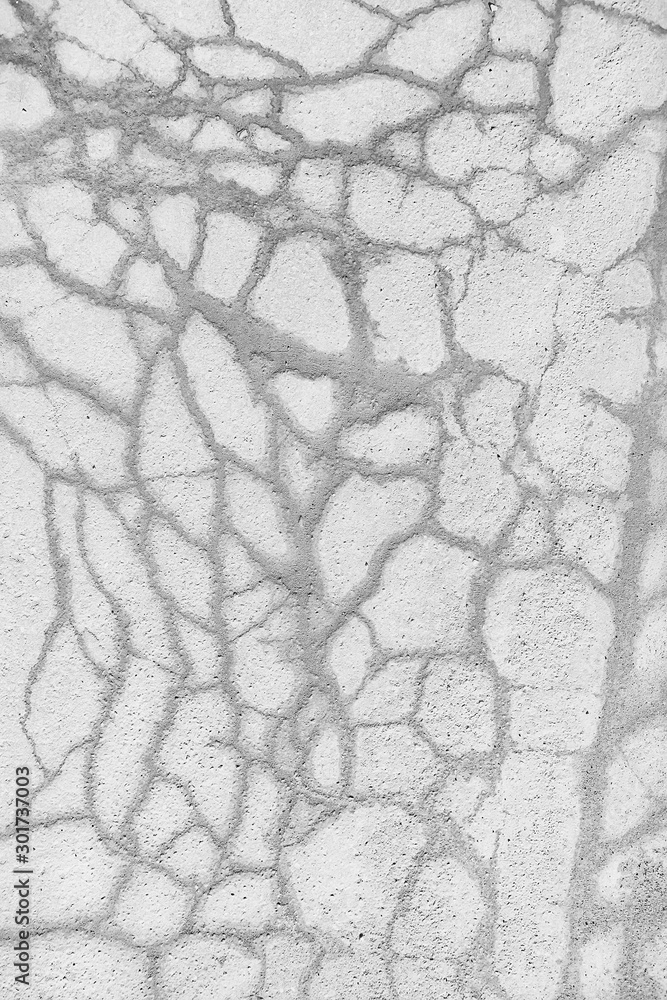 crack on the ground white background / abstract white vintage background broken texture crack on the ground white background / abstract white vintage background broken texture