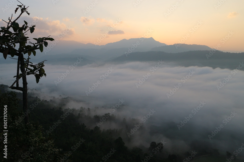 moutian travel white green forest moutian travel white green forest