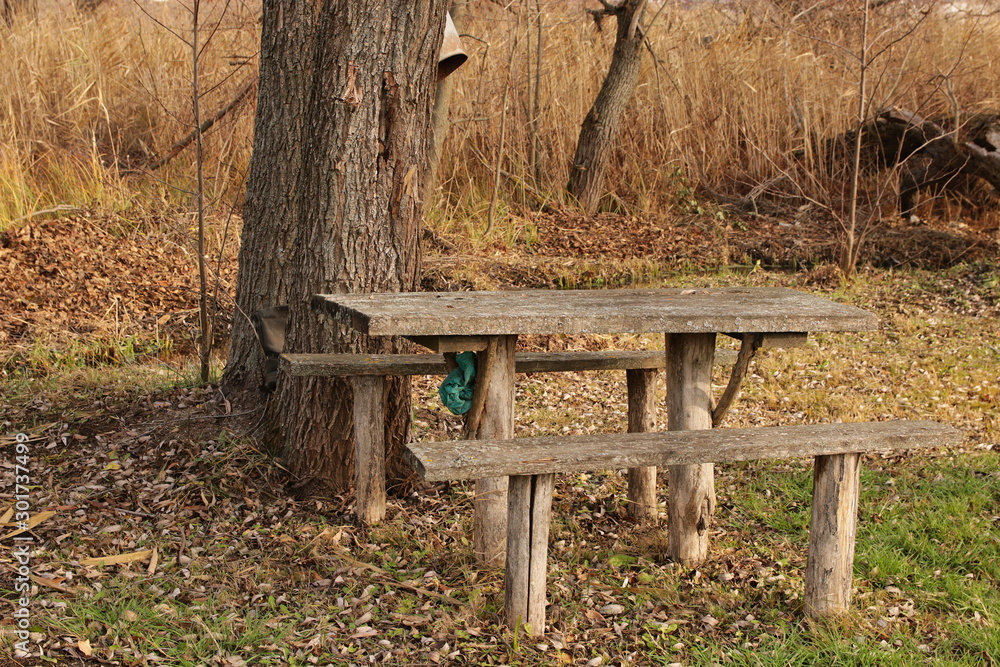 Old wooden table and benches in the forest under the tree. A place for a picnic. Old wooden table and benches in the forest under the tree. A place for a picnic.