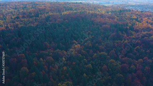 Aerial of autumn trees in the black forest in Germany. Wide view with pan to theleft above a colorful forest. photo