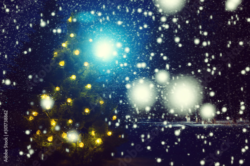 Merry Christmas Frosty winter christmas night - magic light fairy lights on a snowy background in forest during a snowstorm and in during the moon fairy