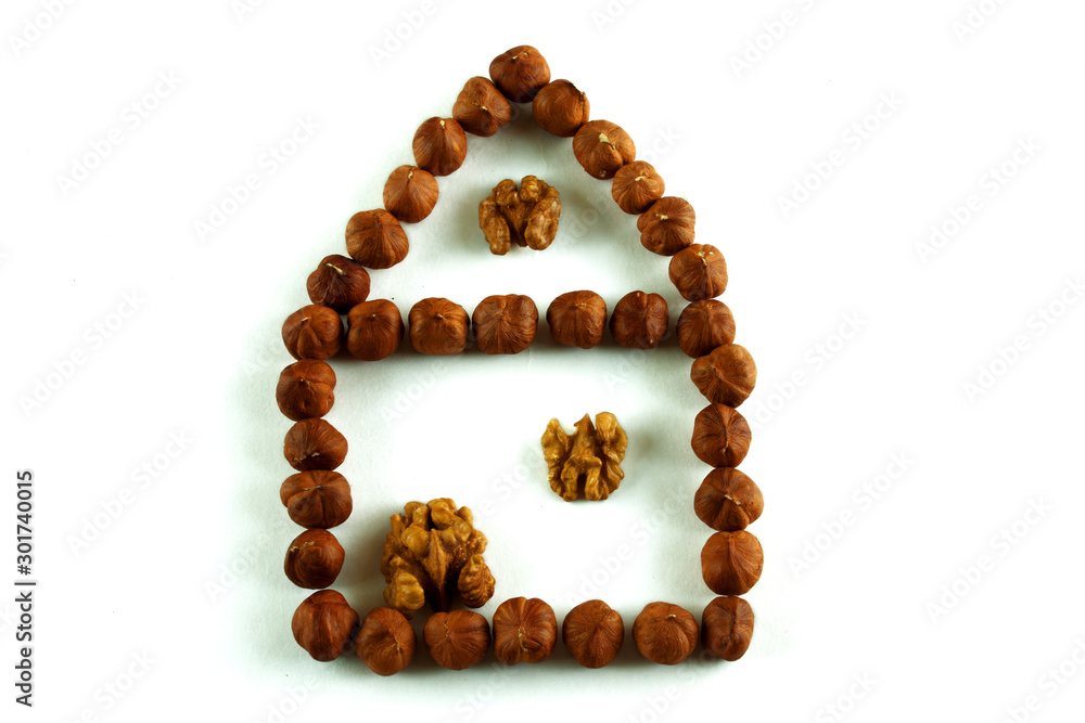 walnut house on isolated white background walnut house on isolated white background