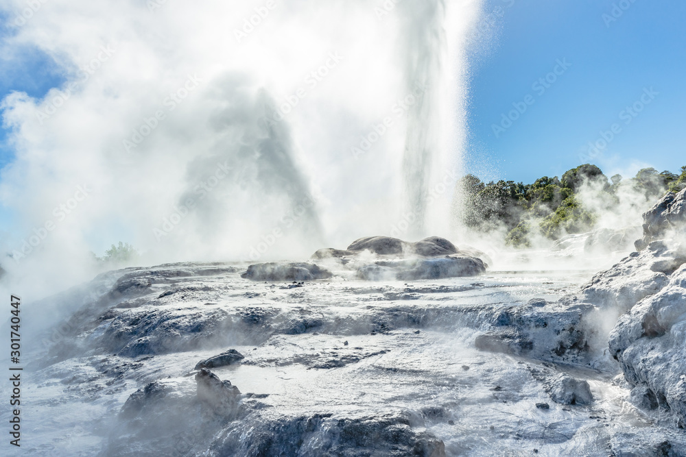 Pohutu Geysir im Te-Puia-Thermalpark im Whakarewarewa Valley auf der Nordinsel von Neuseeland