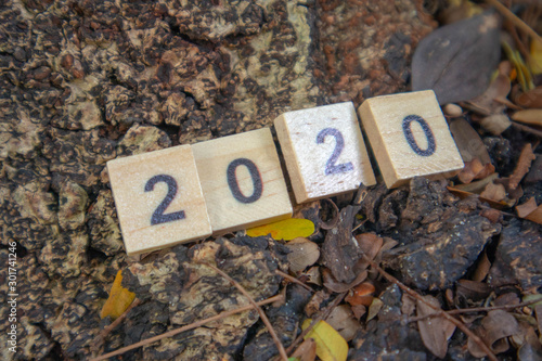 Happy New Year 2020 Year 2020 is made of square wooden placed on a large rock