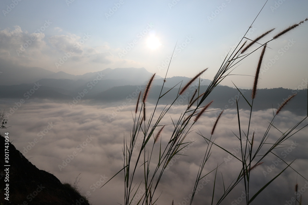 moutian travel white green forest landscape moutian travel white green forest landscape