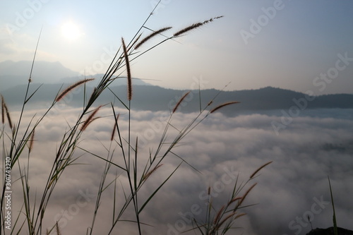 moutian travel white green forest landscape