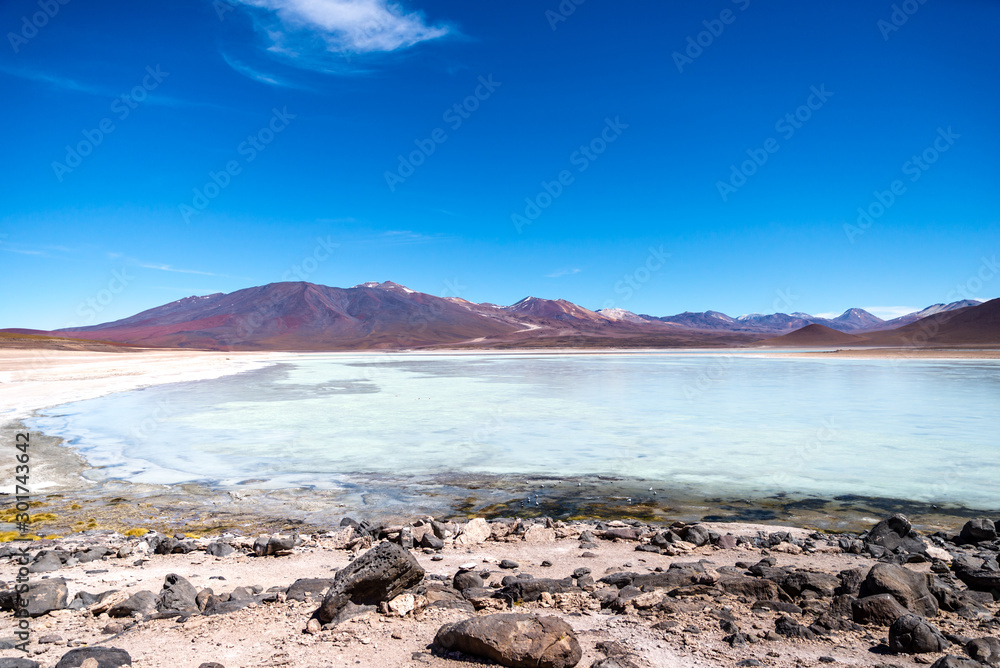 Laguna Blanca, White Lagoon, Eduardo Avaroa National reserve, Bolvia