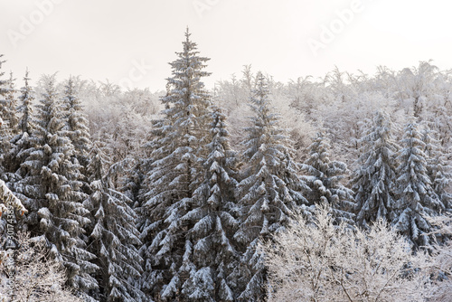 Winter landscape of the mountain.