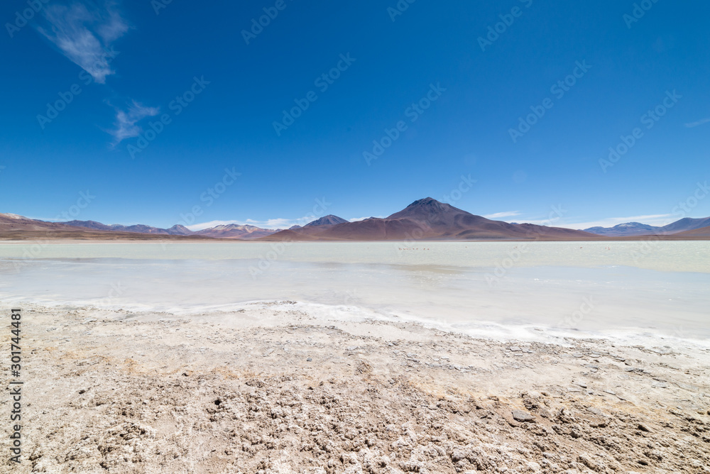 Laguna Blanca, White Lagoon, Eduardo Avaroa National reserve, Bolvia