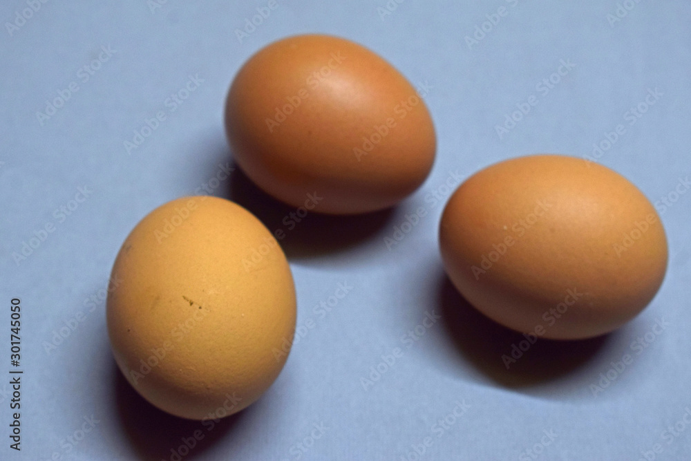 chicken eggs chicken eggs