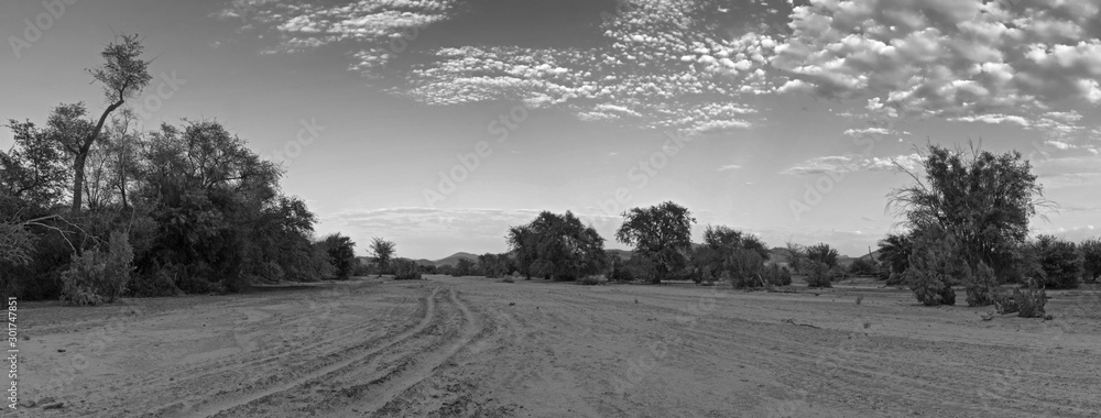 the dry riverbed of the swakop river in the morning in black and white Namibia