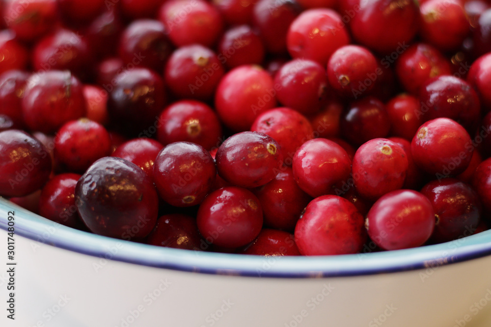 lot of fresh cranberries in a bowl close up lot of fresh cranberries in a bowl close up