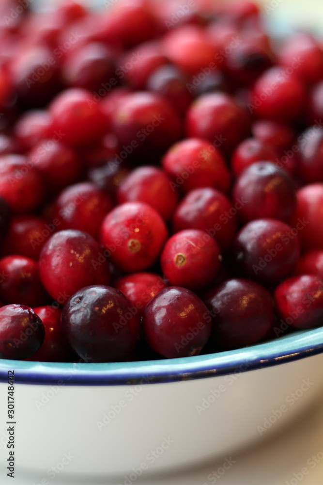 lot of fresh cranberries in a bowl close up lot of fresh cranberries in a bowl close up
