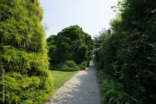 Jardin et buissons en Italie, chemin en gravier