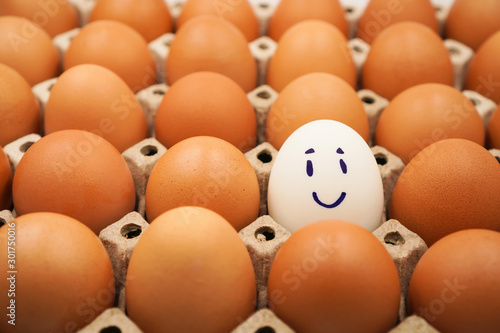 a smile white egg among many brown eggs in the egg carton, concept of happy , different, optimistic mindset and unique concept