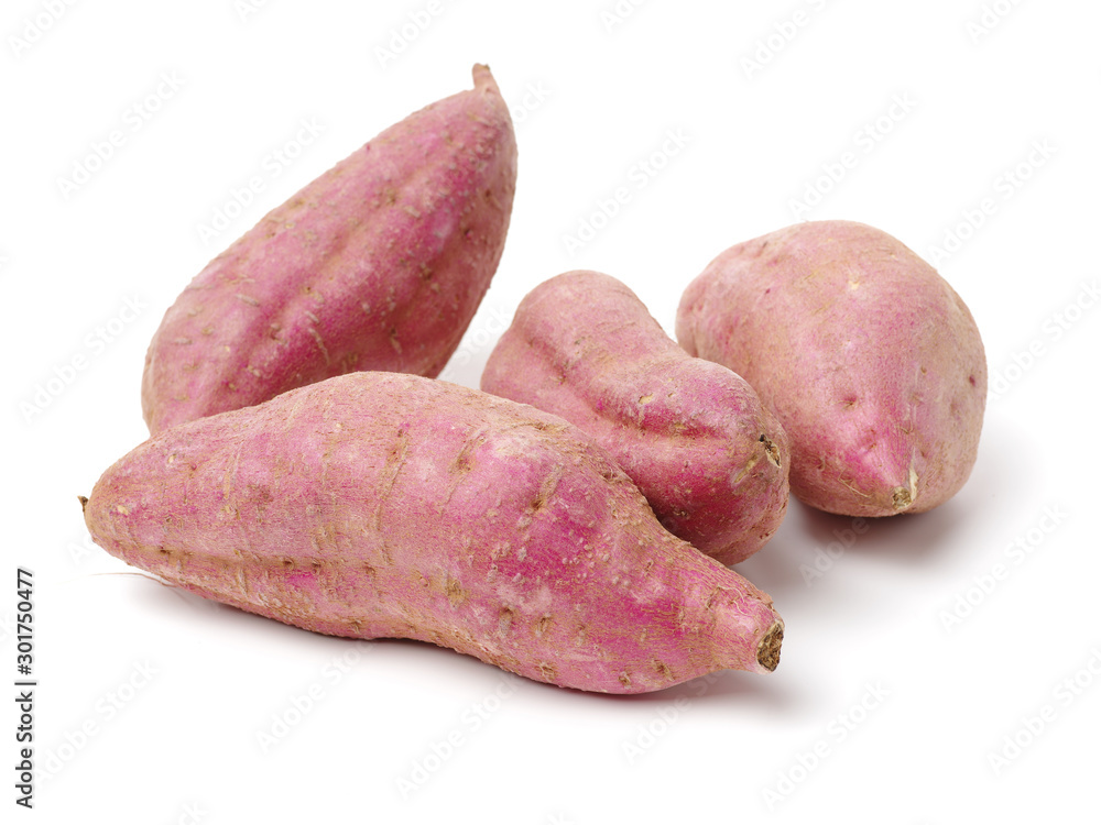sweet potatoes on the white background sweet potatoes on the white background