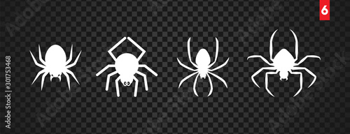 Obraz na płótnie Spiders for decoration and covering on the transparent background. Creepy background for Halloween. w salonie