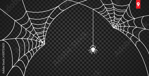 Obraz na płótnie Halloween cobweb and spiders isolated on dark transparency background w salonie
