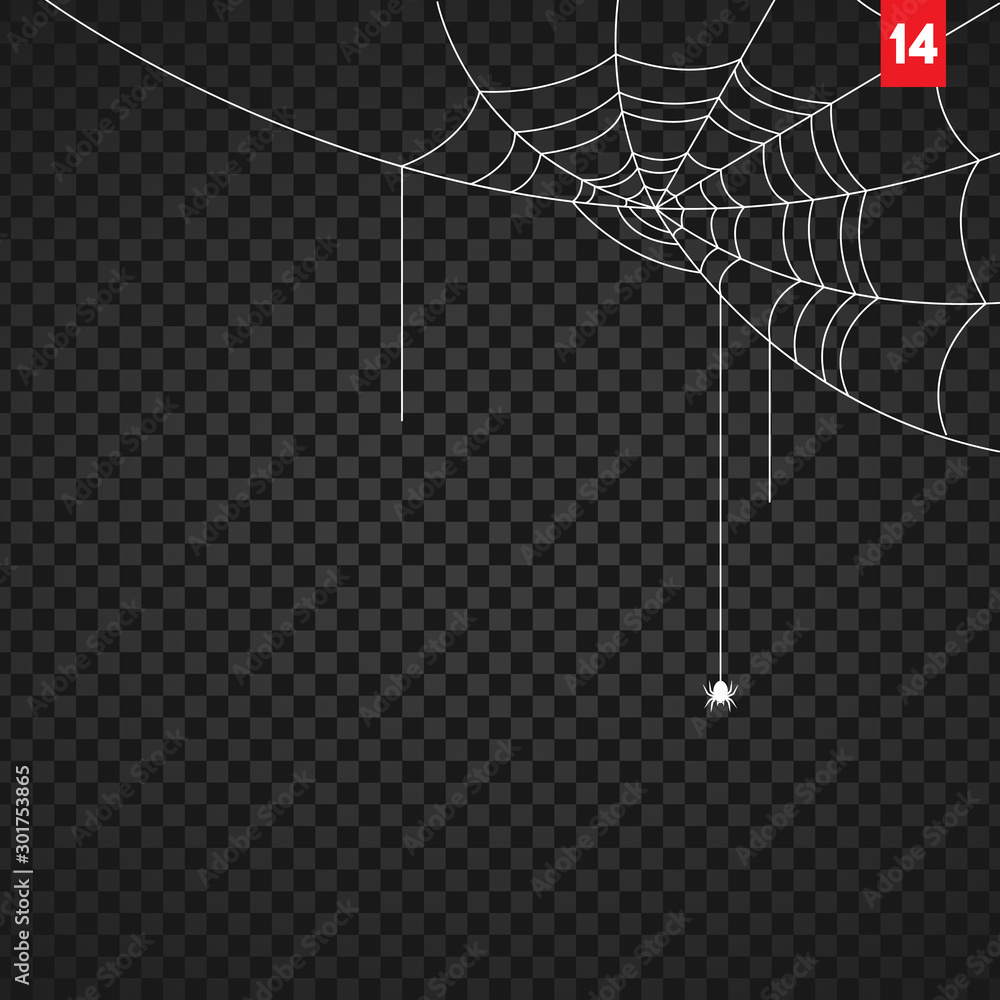 Halloween cobweb and spiders isolated on dark transparency background